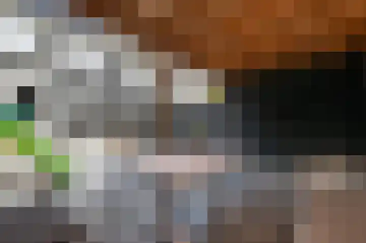 't Koejepad 7 Ouddorp thumbnail 30