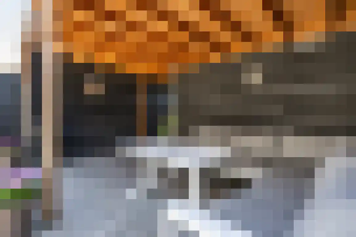 't Koejepad 7 Ouddorp thumbnail 31