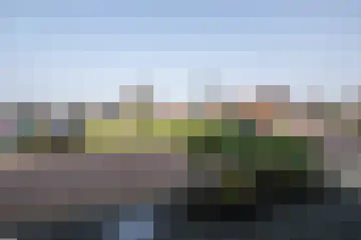 't Koejepad 7 Ouddorp thumbnail 33