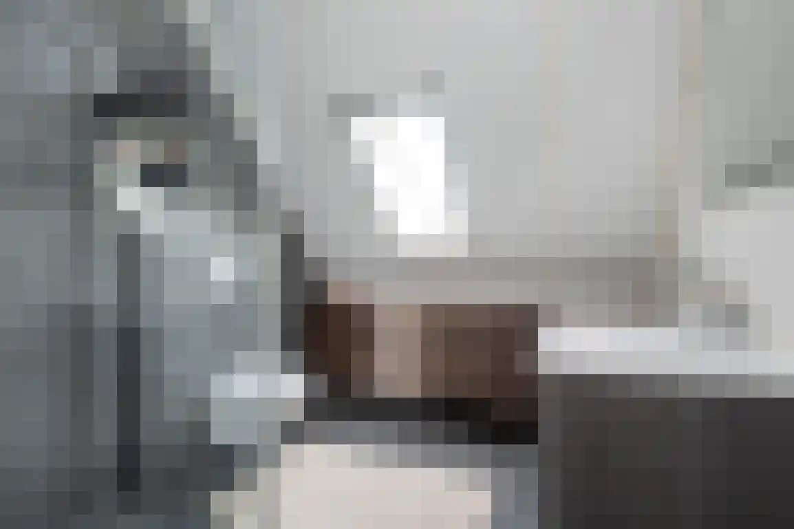 't Koejepad 7 Ouddorp thumbnail 4