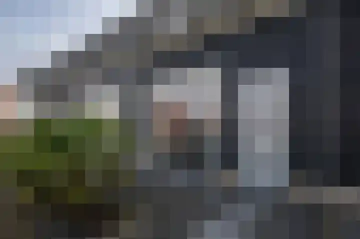 't Koejepad 7 Ouddorp thumbnail 5