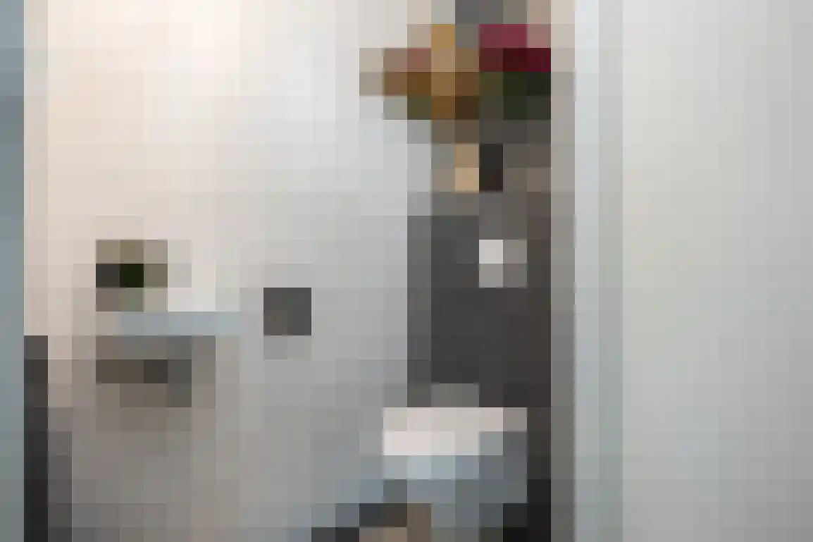 't Koejepad 7 Ouddorp thumbnail 7