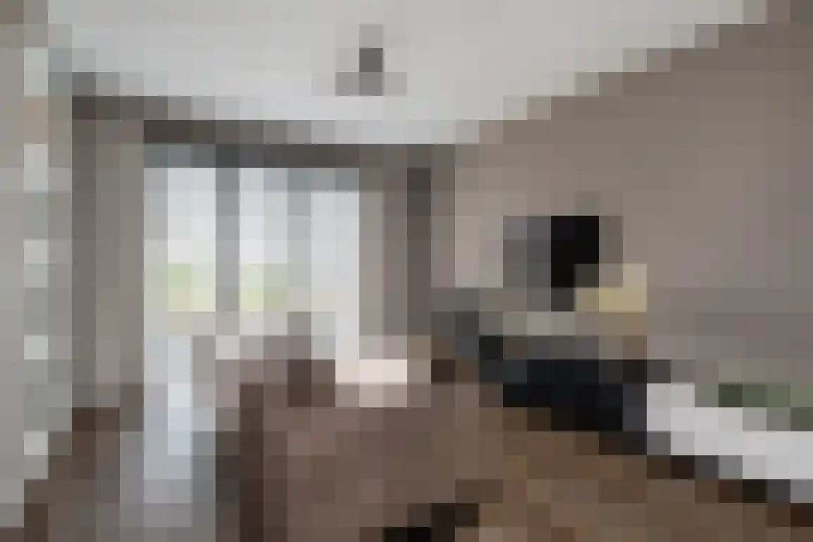 't Koejepad 7 Ouddorp thumbnail 8