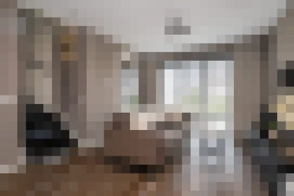 't Koejepad 7 Ouddorp thumbnail 9