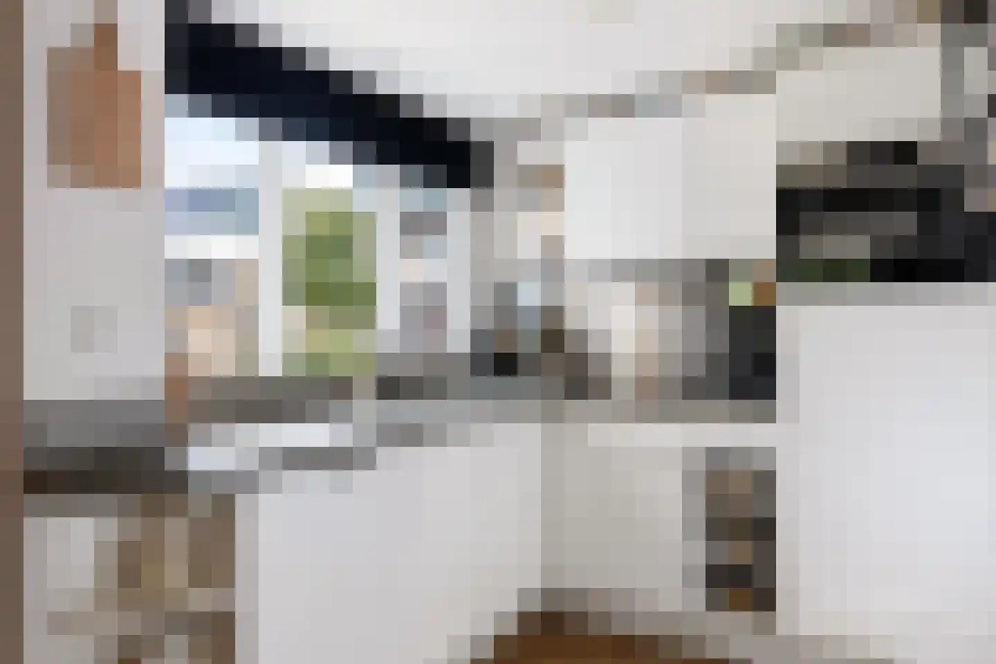't Koetshuis 38 Veenendaal thumbnail 13
