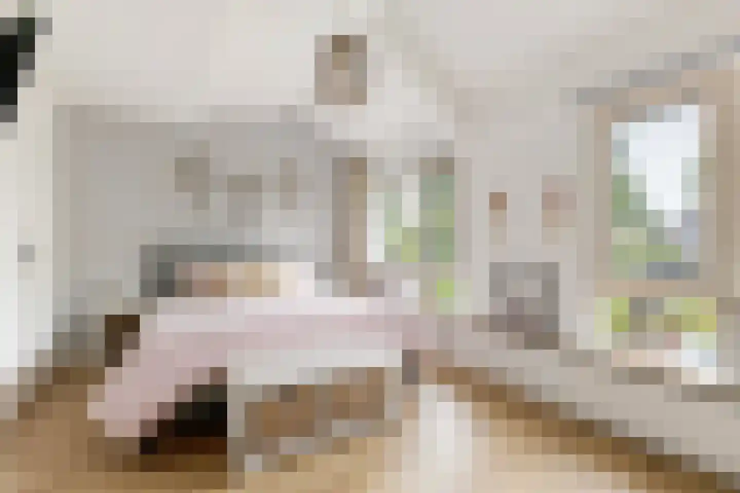 't Koetshuis 38 Veenendaal thumbnail 19