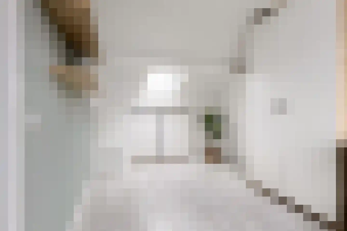 't Koetshuis 38 Veenendaal thumbnail 30