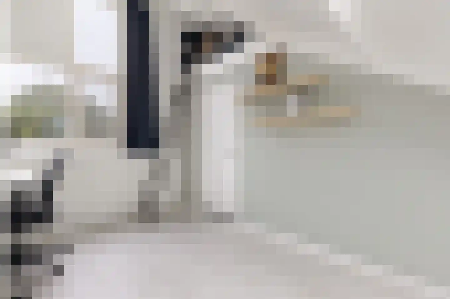 't Koetshuis 38 Veenendaal thumbnail 32