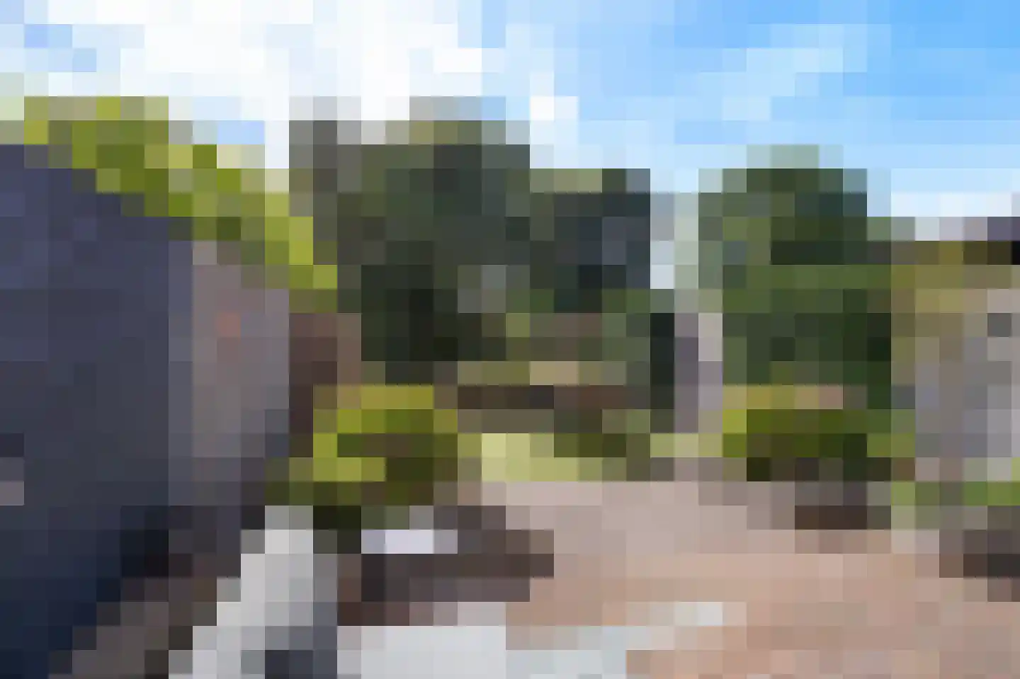 't Koetshuis 38 Veenendaal thumbnail 37