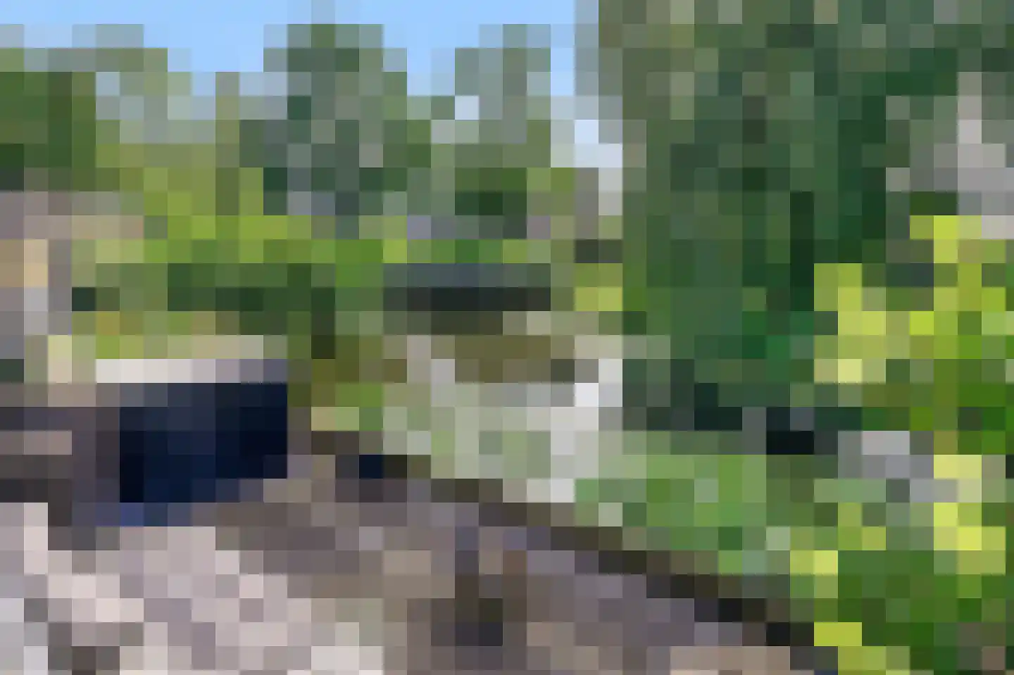 't Koetshuis 38 Veenendaal thumbnail 38