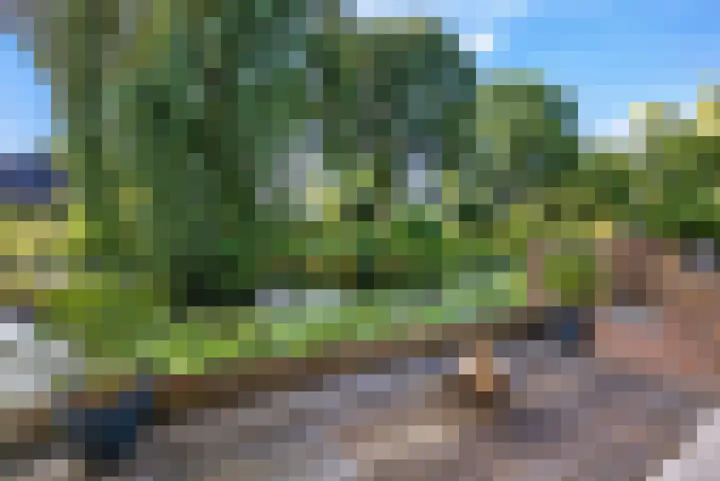't Koetshuis 38 Veenendaal thumbnail 39