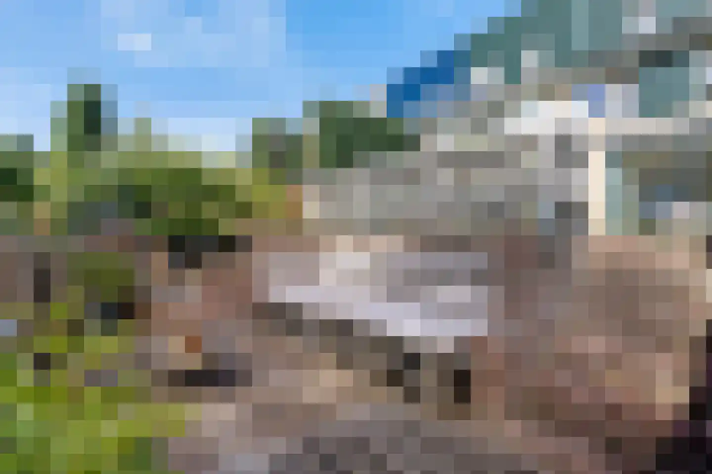 't Koetshuis 38 Veenendaal thumbnail 40