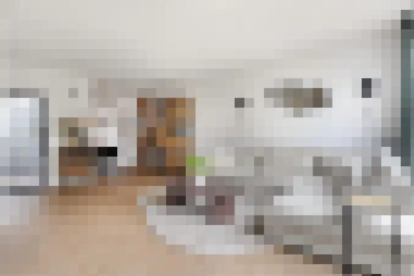 't Koetshuis 38 Veenendaal thumbnail 8