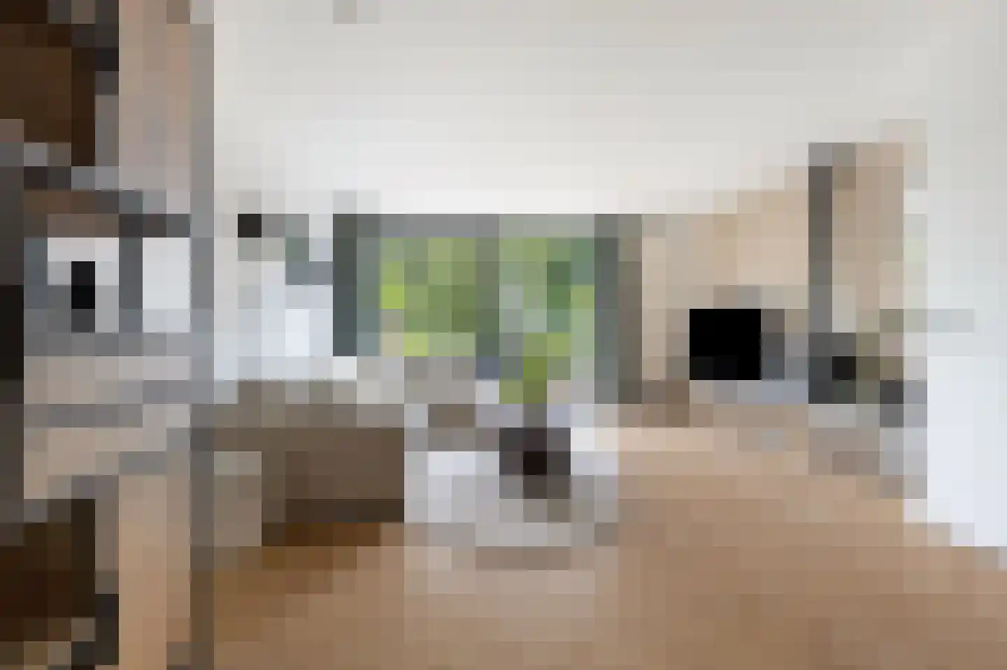 't Koetshuis 38 Veenendaal thumbnail 9