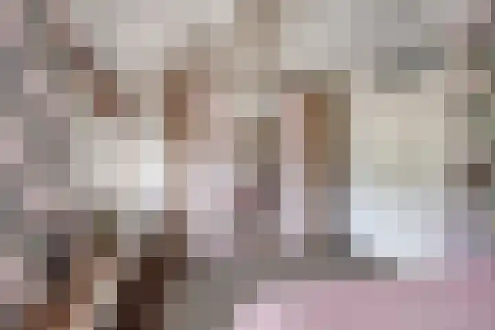 't Koetshuis 5 Veenendaal thumbnail 14
