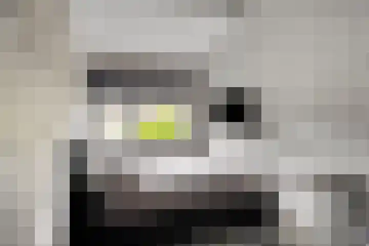 't Koetshuis 5 Veenendaal thumbnail 15
