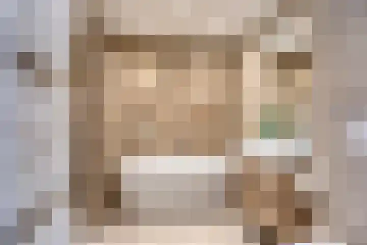't Koetshuis 5 Veenendaal thumbnail 18