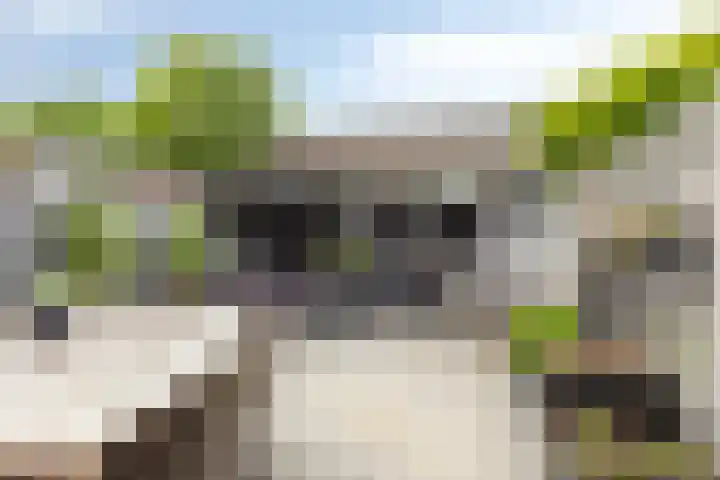 't Koetshuis 5 Veenendaal thumbnail 24