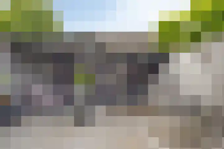 't Koetshuis 5 Veenendaal thumbnail 25