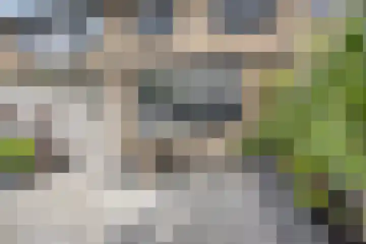 't Koetshuis 5 Veenendaal thumbnail 26