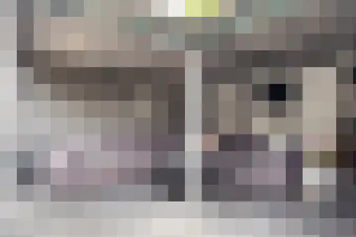 't Koetshuis 5 Veenendaal thumbnail 28