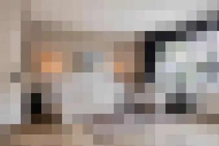 't Koetshuis 5 Veenendaal thumbnail 4