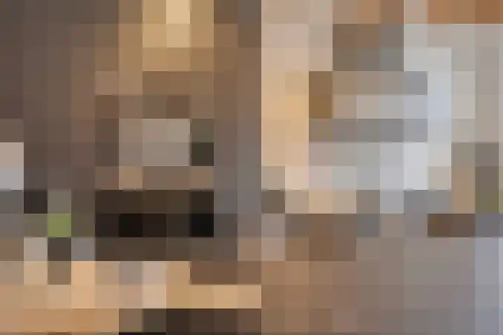 't Koetshuis 5 Veenendaal thumbnail 9