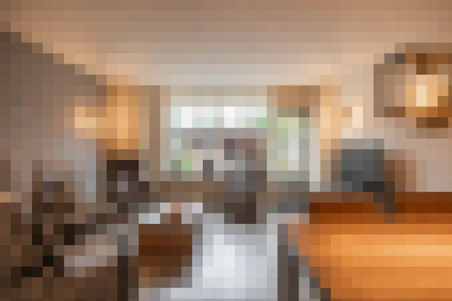 't Koetshuis 72 Veenendaal thumbnail 13