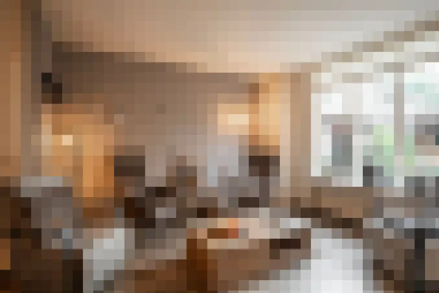 't Koetshuis 72 Veenendaal thumbnail 14