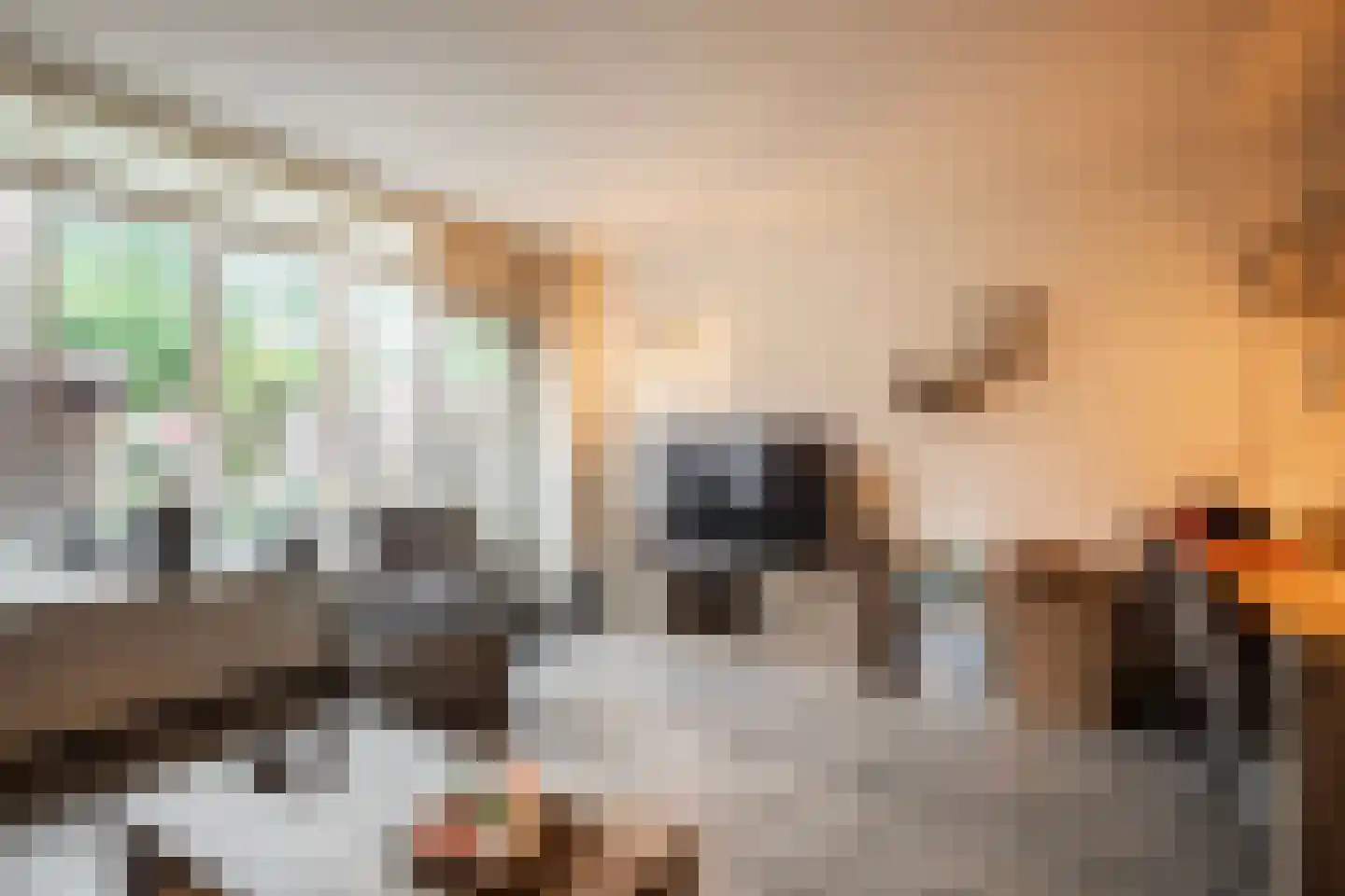 't Koetshuis 72 Veenendaal thumbnail 15