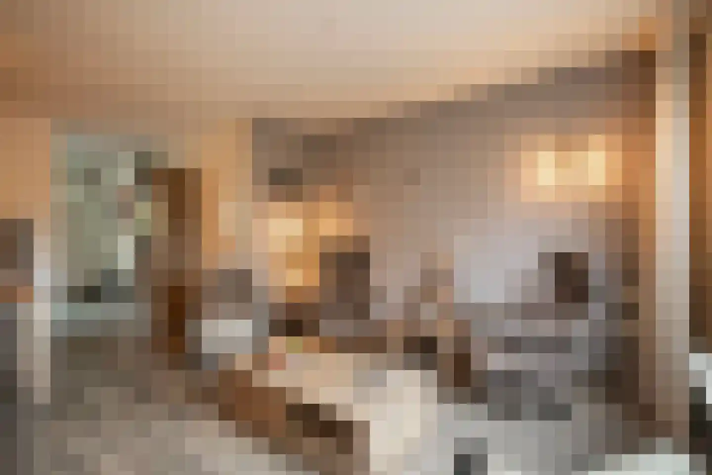 't Koetshuis 72 Veenendaal thumbnail 17