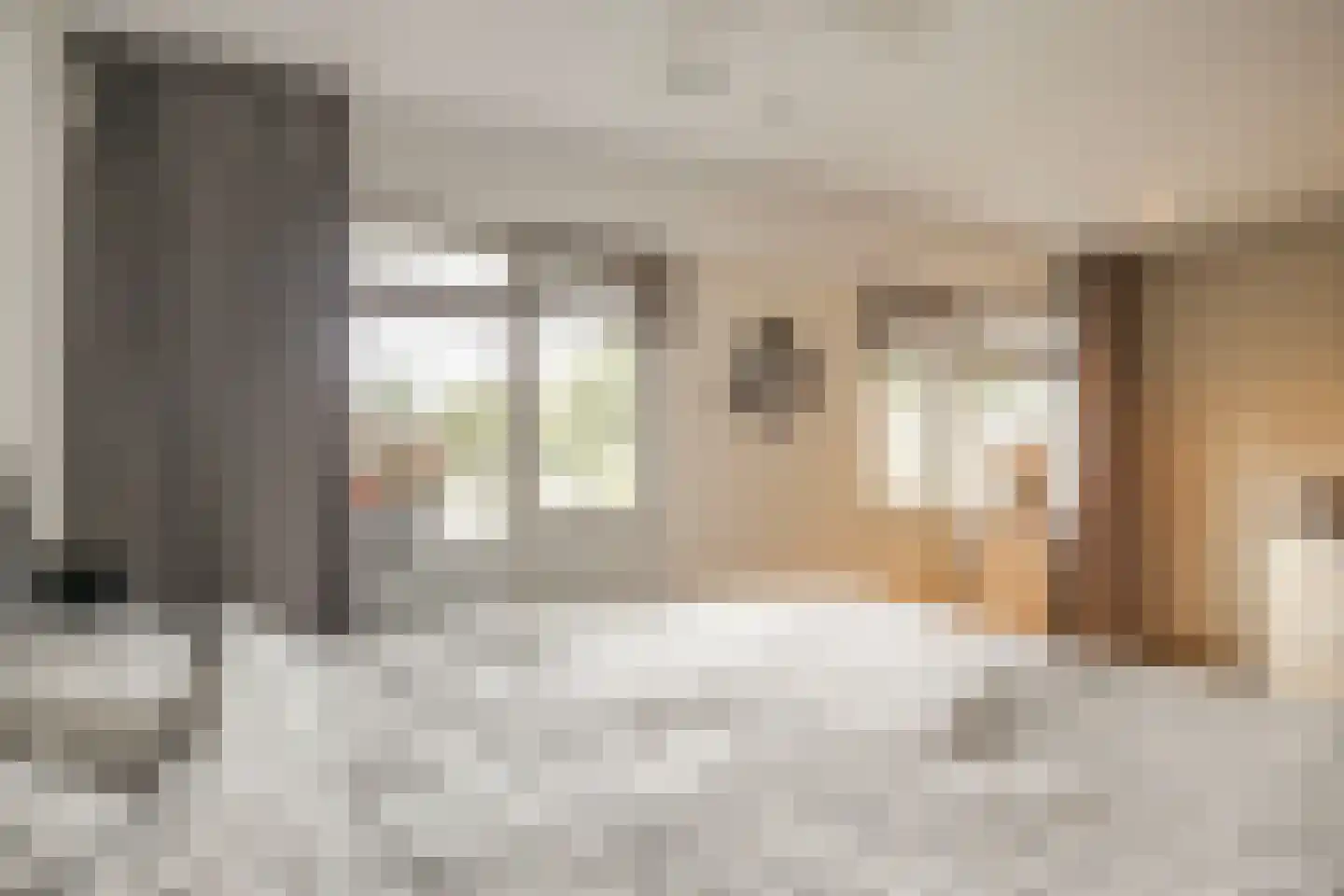 't Koetshuis 72 Veenendaal thumbnail 23