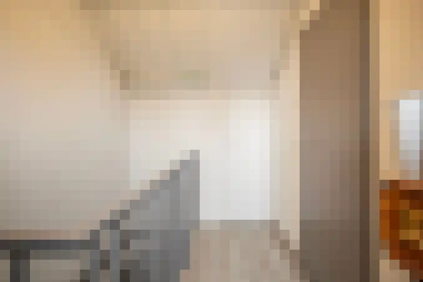 't Koetshuis 72 Veenendaal thumbnail 33