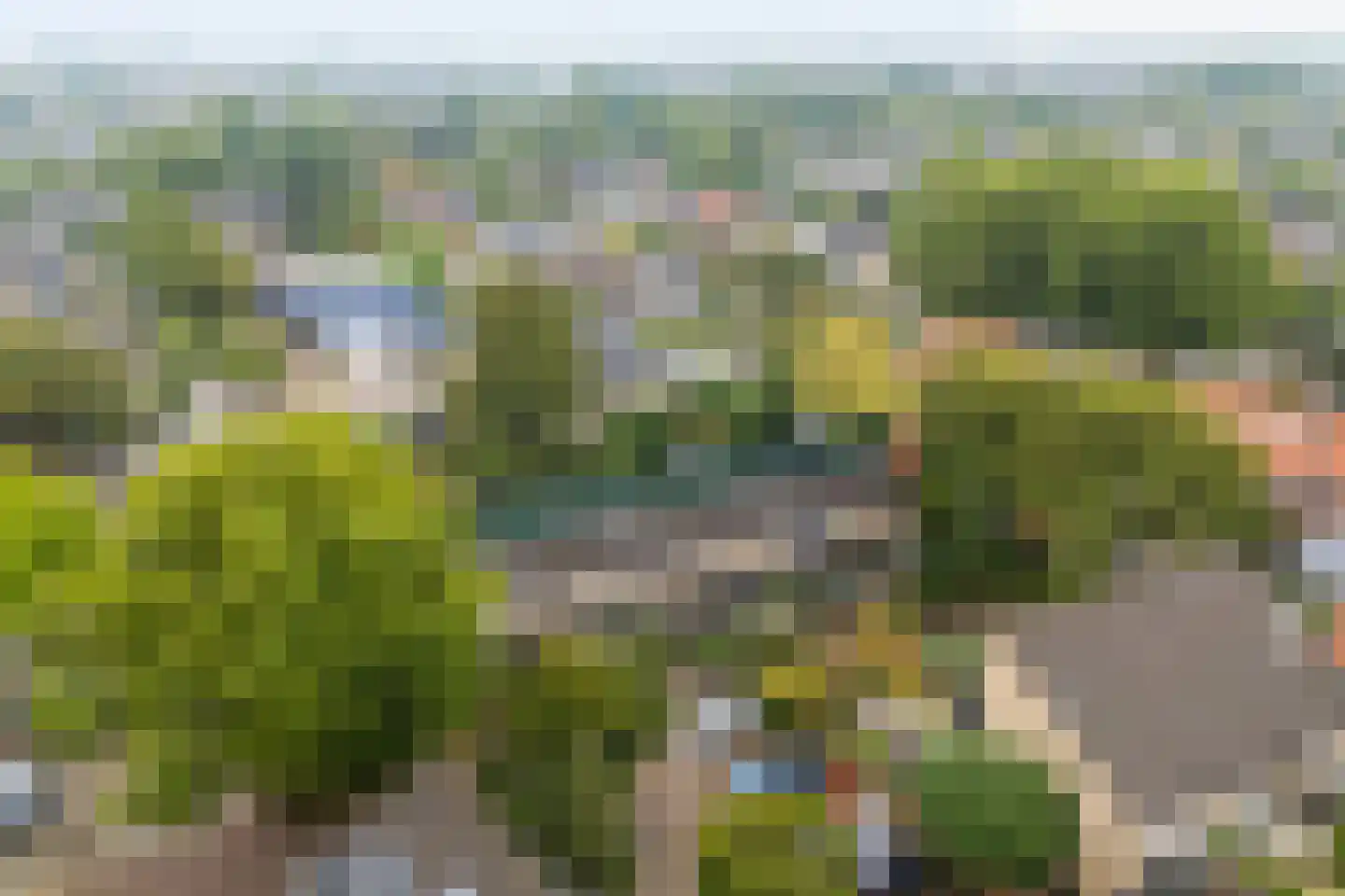 't Koetshuis 72 Veenendaal thumbnail 43