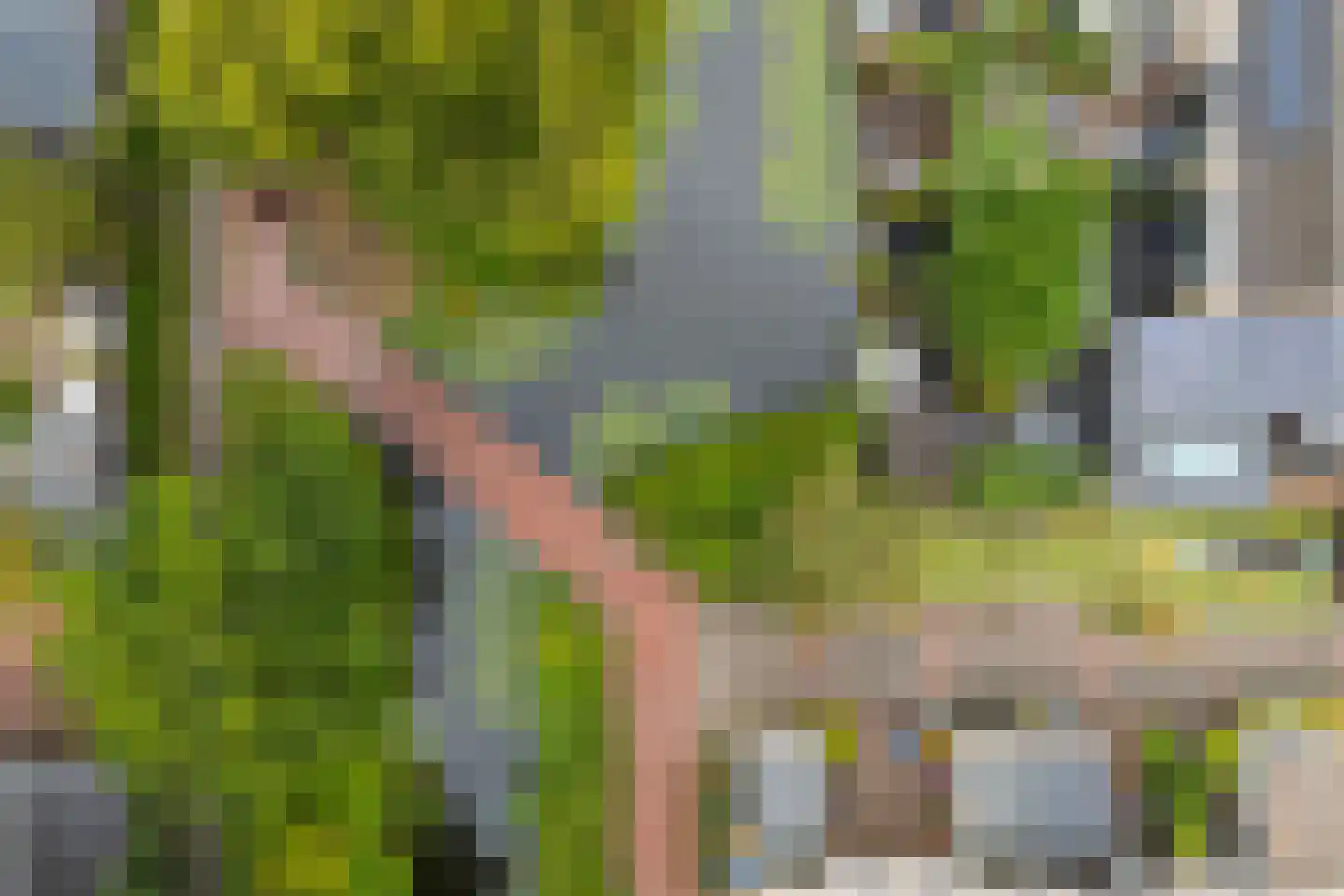 't Koetshuis 72 Veenendaal thumbnail 46