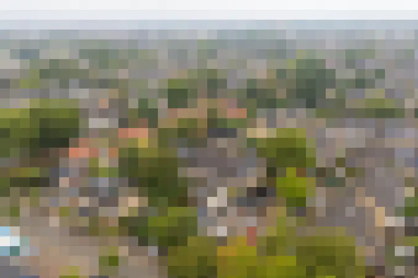 't Koetshuis 72 Veenendaal thumbnail 47