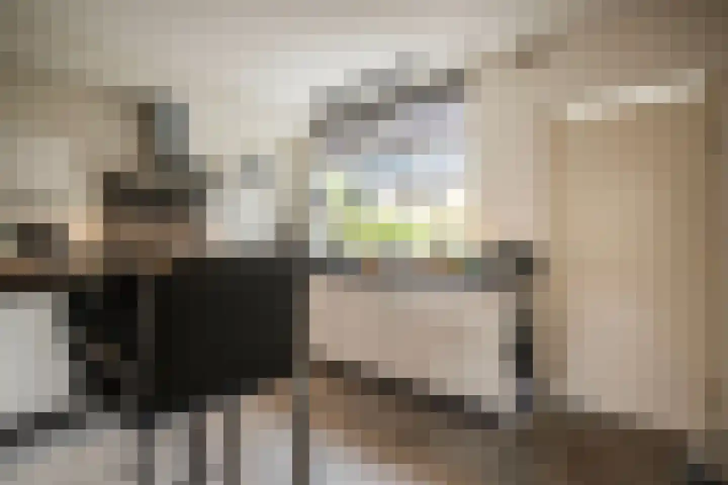 't Koetshuis 72 Veenendaal thumbnail 7