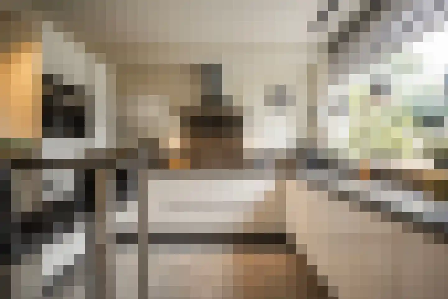 't Koetshuis 72 Veenendaal thumbnail 8