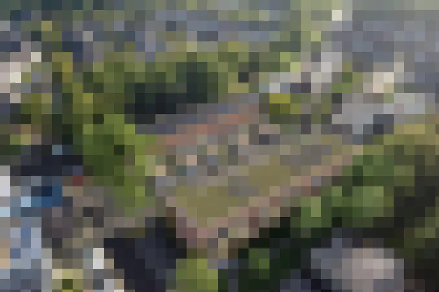 't Kofschip 1 Veenendaal thumbnail 4