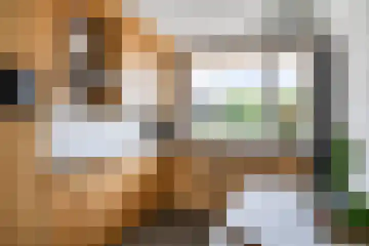 't Kofschip 113 Veenendaal thumbnail 10