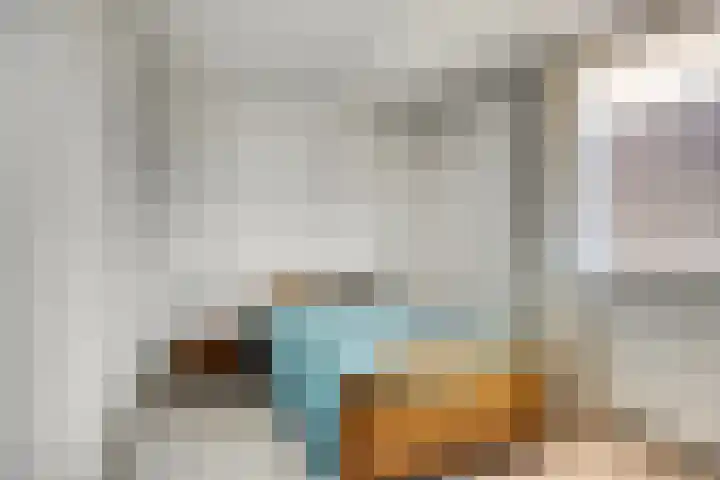 't Kofschip 113 Veenendaal thumbnail 12