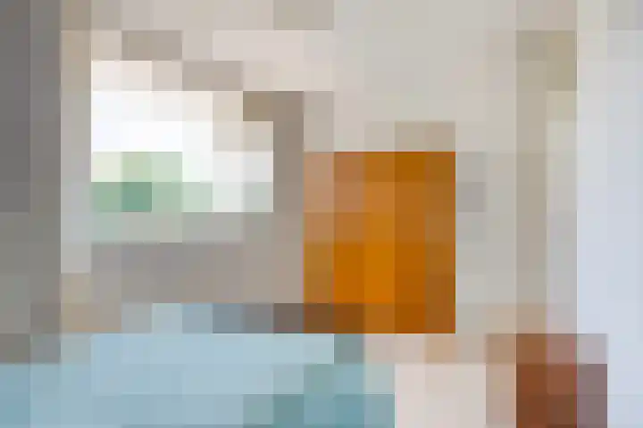 't Kofschip 113 Veenendaal thumbnail 13