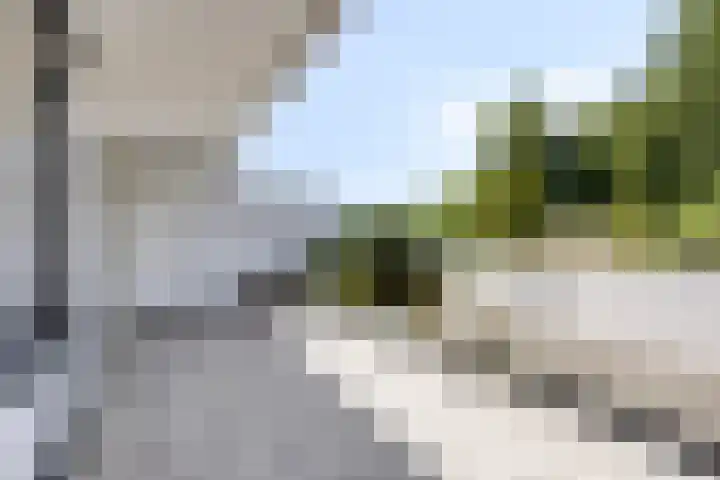 't Kofschip 113 Veenendaal thumbnail 20