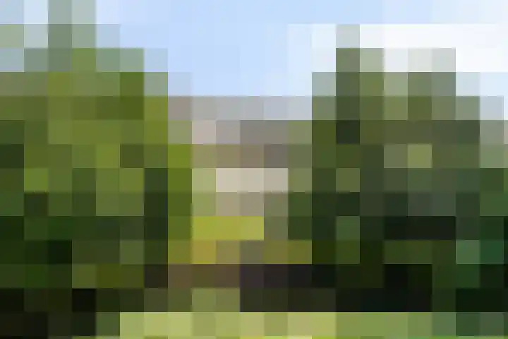 't Kofschip 113 Veenendaal thumbnail 31