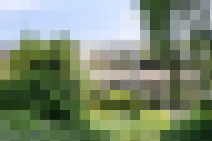 't Kofschip 113 Veenendaal thumbnail 35
