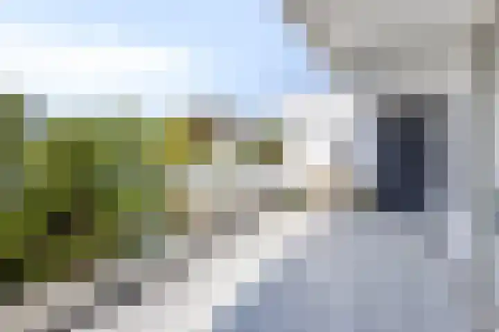 't Kofschip 113 Veenendaal thumbnail 4