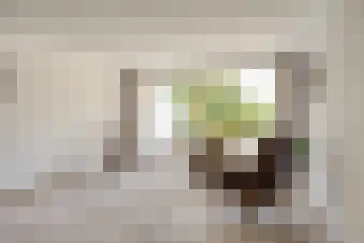 't Kofschip 113 Veenendaal thumbnail 6
