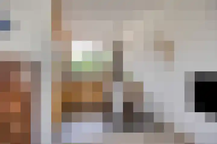 't Kofschip 113 Veenendaal thumbnail 9