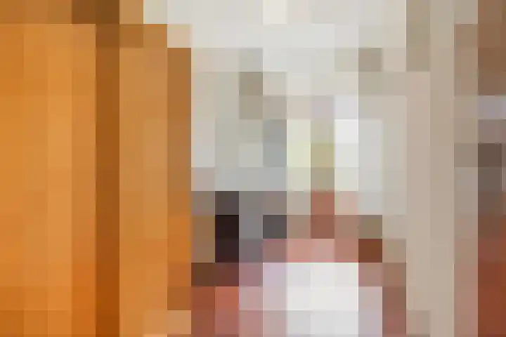 't Kofschip 15 Veenendaal thumbnail 18
