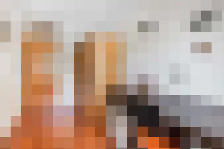't Kofschip 15 Veenendaal thumbnail 19
